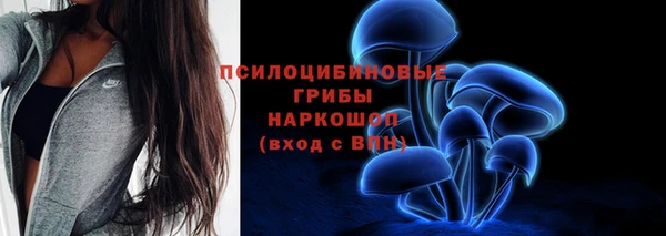 а пвп мука Белокуриха